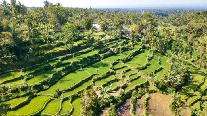 Asan Rinjani Homestay Tetebatu Ngoại thất bức ảnh