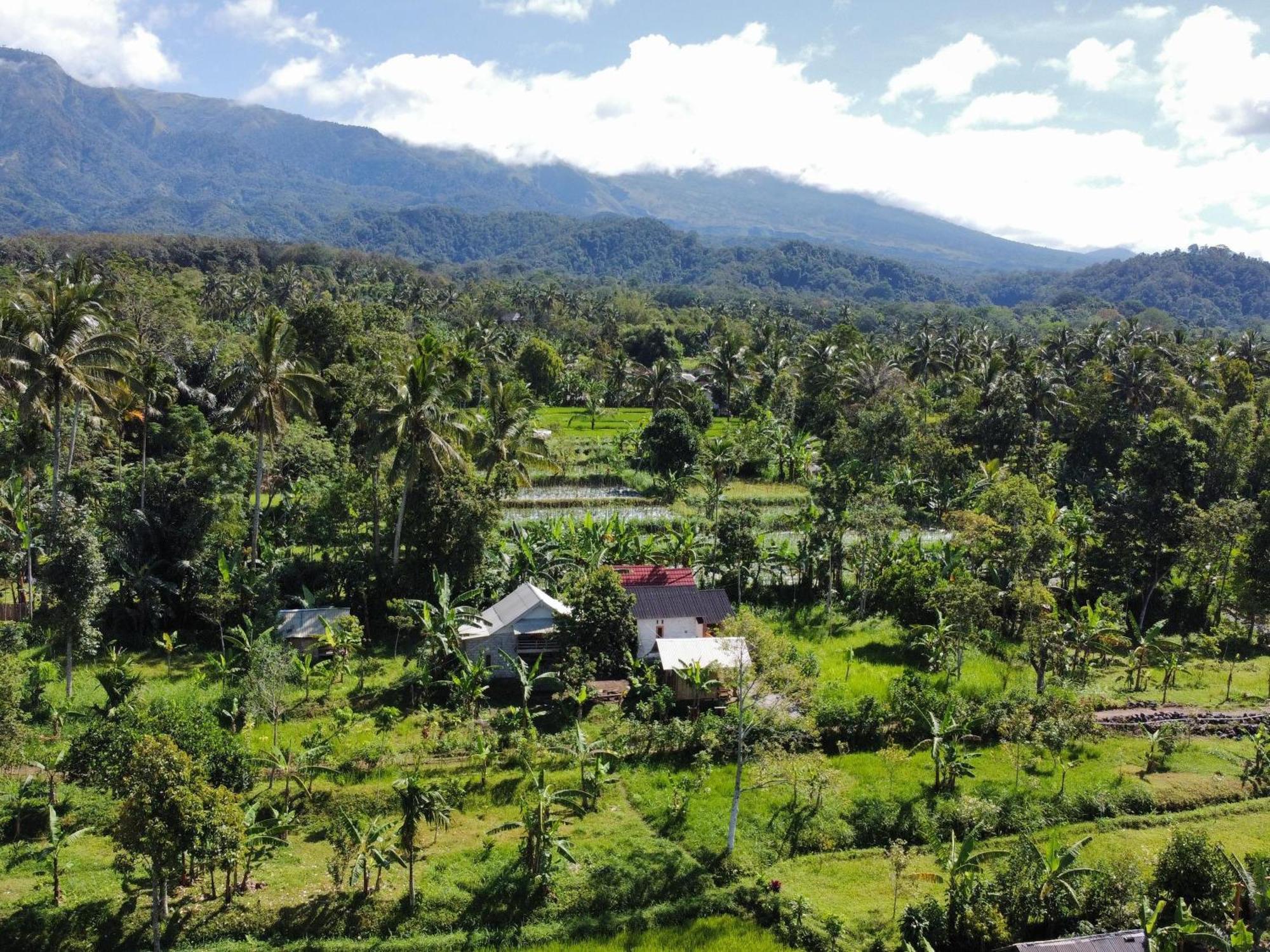 Asan Rinjani Homestay Tetebatu Phòng bức ảnh