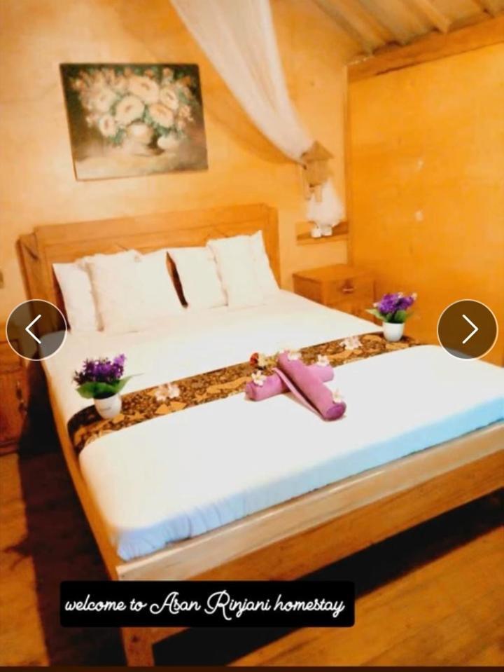 Asan Rinjani Homestay Tetebatu Ngoại thất bức ảnh